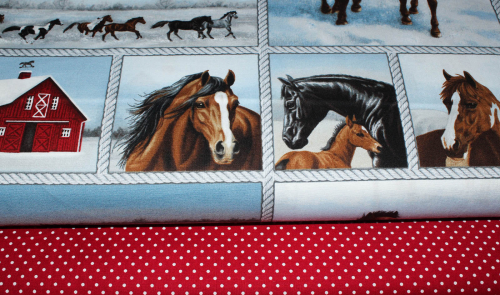 Preview: Designerbaumwollstoff Horse Whisperer Rapport